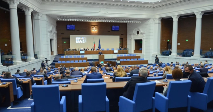 Снимка Булфото Петел следи какво се случва след наводненията Темата ще