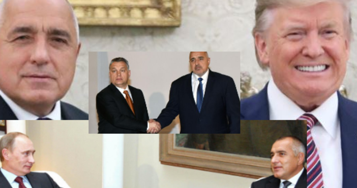 БулфотоПриликите между Тръмп, Путин, Орбан, Ердоган и Борисов са толкова