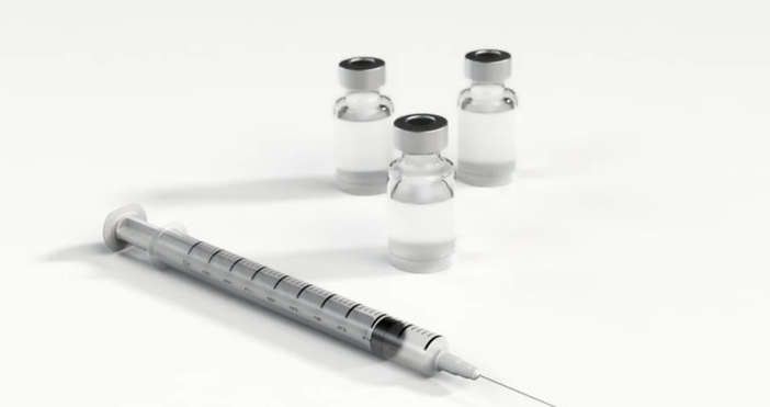 снимка pixabayВ момента проблемът е в извършването на спешно ваксиниране на