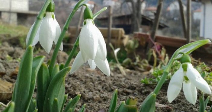 снимка БулфотоНад Черноморието ще е предимно слънчево Ще е топло с