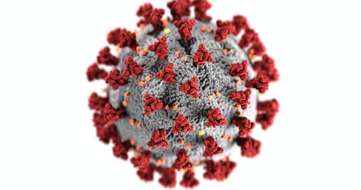 Снимка: PexelsПореден вариант на коронавируса влезе в Европа. B.1.427 /