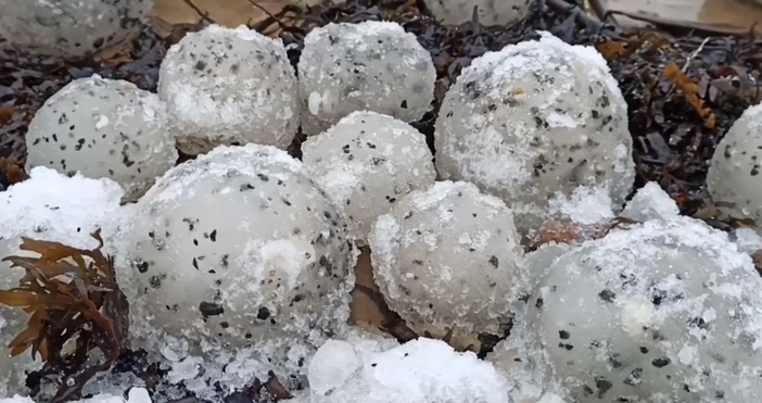 кадър и видео Морето в Латвия изхвърли на пясъка множество ледени