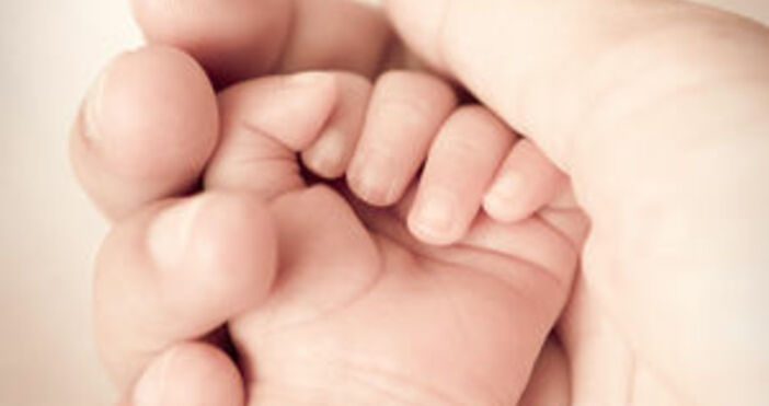 Снимка PexelsПик в тенденцията за раждане на близнаци в световен