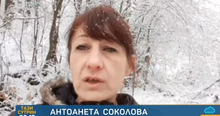 Редактор Виолета Николаеваe mail  Стълб падна върху къща на болен човек