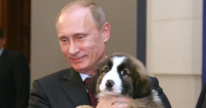 Снимка Булфото архивПредстояща среща с руския президент Владимир Путин накара