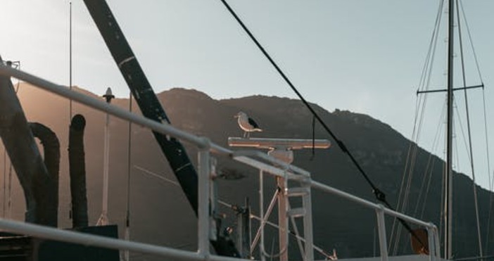 снимка pexelsРуски военни кораби навлязоха в Черно море предава Това се случва