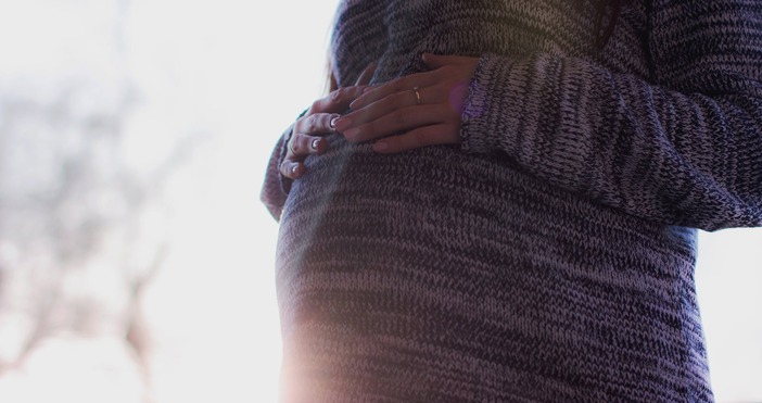 снимка pexelsБразилските здравни власти съветват жените да не забременяват по