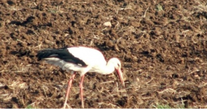 Снимка Булфото видео Нова Тв vbox7 comНещо крайно неприятно се случва в