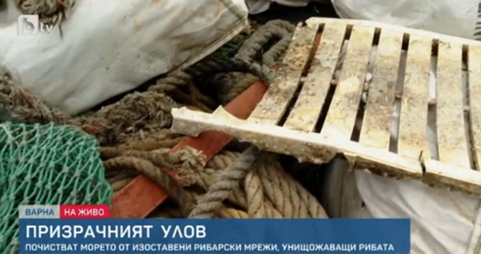 кадър бТВ50 км стари изоставени мрежи извадиха рибарите край Варна