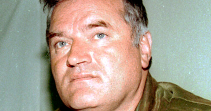 Семейството на бившия босненски сръбски военен лидер Ратко Младич смята
