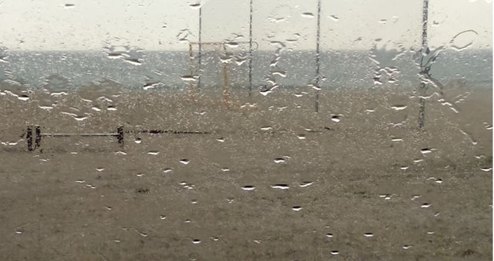 Снимка Петел архивДъжд и гръмотевици се очакват в Източна България