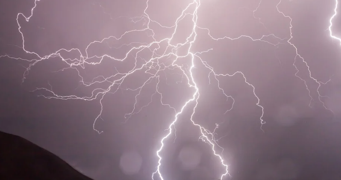 фото pixabay comЗа реклама в Петел на цена от 50 лева на