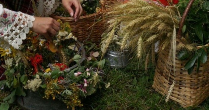 снимка БулфотоРождество на Йоан Кръстител Еньовден 24 Юни  Имен ден Биляна Ивет