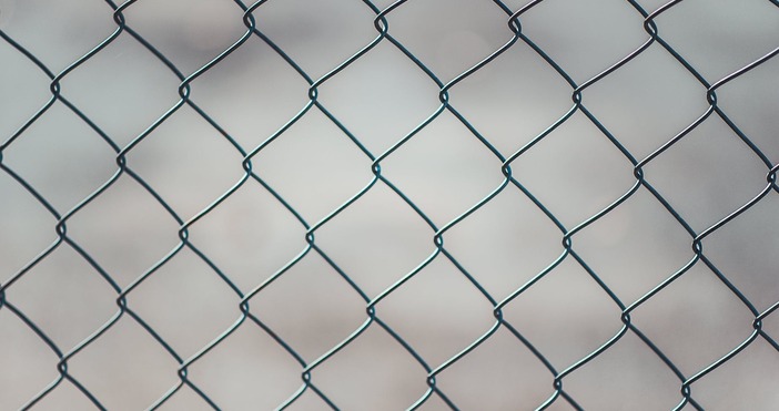 Редактор  e mail  Снимка PexelsЛитва стартира строителството на ограда на границата с Беларус