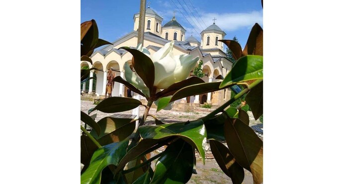 снимка Лопушански манастирСъвремието ни изправя всекидневно пред различни изпитания Те