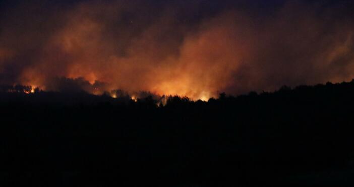 Снимки БулфотоОгнеборци се борят с буйни пламъци край български град  Пожар