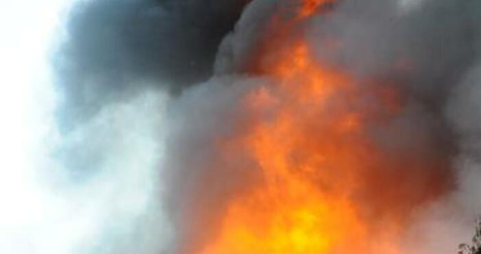 снимка БулфотоОгромен пожар бушува в благоевградското село Бучино Той е локализиран но е