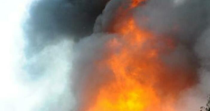 Снимка Булфото Петел следи какво се случва след големия пожар около