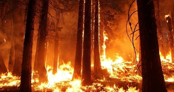 снимка  ПиксабейПовече от 500 пожара пламнаха в Гърция през последната седмица
