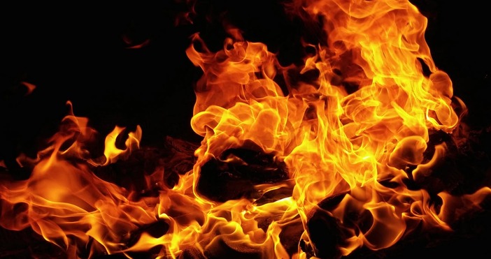 Снимка PexelsПожар е избухнал в Рила планина Военнослужещи от 24 а