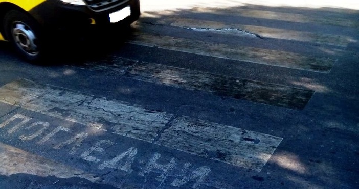 снимка Петел Дейности по почистване на хоризонталната пешеходна маркировка и поставяне