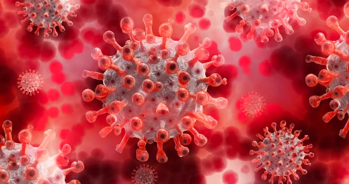 снимка pixabayОткъде е дошъл коронавирусът който порази целия свят това