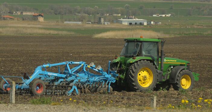 Снимка: БулфотоДържавата отпуска 70 млн. лева помощи за 50 000