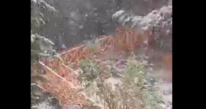 Кадър и Видео Georgi DurchovОбилен снеговалеж засипа района на Банско  Видеото е