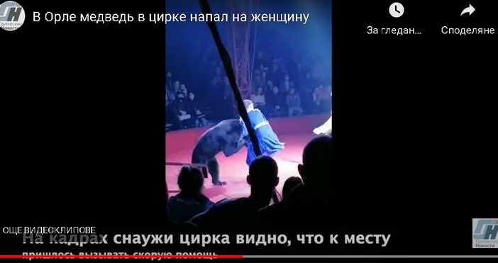 Кадър Орловские новости, YoutubeИнцидент стресна публиката по време на цирк в
