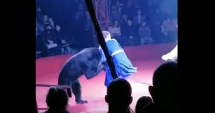 Кадър Орловские новости YoutubeИнцидент стресна публиката по време на цирк в