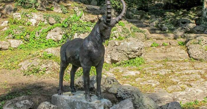 снимка: Община ВарнаНова скулптура на козел бе поставена днес в