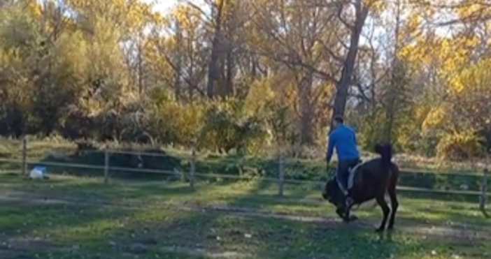 Когато конят се подхлъзне и падне а стопанинът ти каже