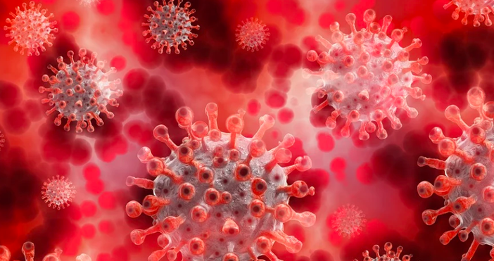 Гръцките здравни власти обявиха 2727 нови случая на коронавирус за