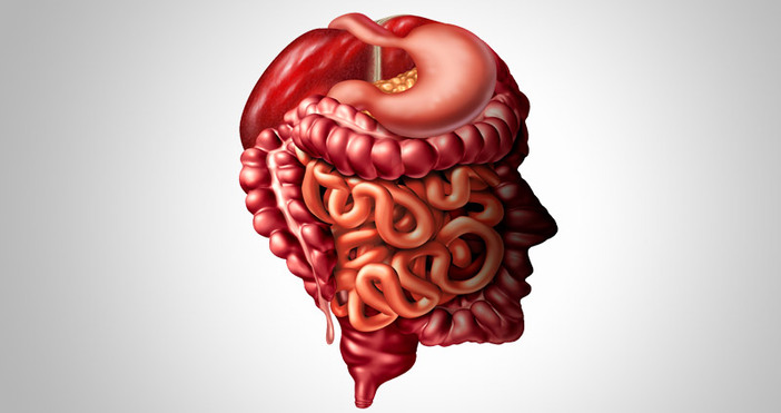 Еднапо една до пълно възстановяванеДо пълно възстановяване се затягат мерките