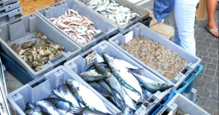 Промени в менюто се очертават за Никулден Рибарите в Поморие
