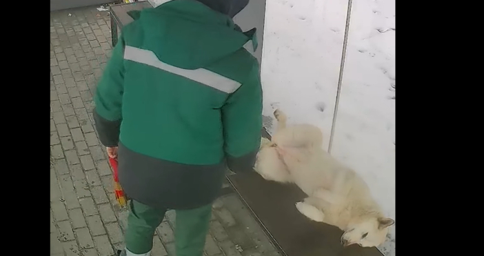 Към момента на публикуване на статията в Сургут в Урал