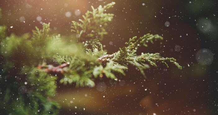 Необичайно топло става в неделя Максималните температури ще са от