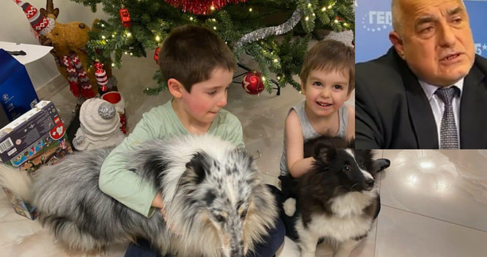 Бившият премиер публикува снимка на внуците си с техните кучета и