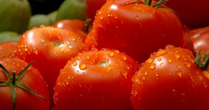 Българските оранжерийни домати и краставици изчезнаха от пазара Причината е