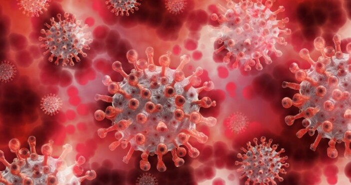 Разкриха какви огромни поражения нанася новият вариант на коронавируса Щамът Омикрон може