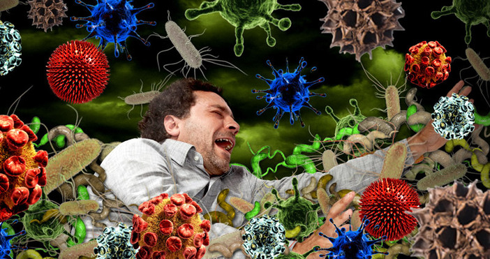 Новооткрит орган в човешкото тяло управлява здравето ни Съвременни медицински проучвания