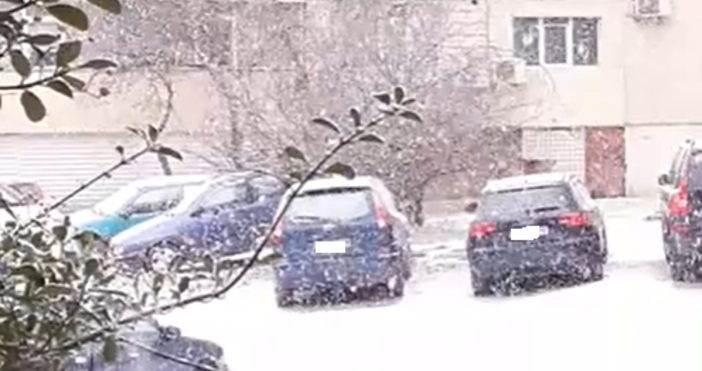 Във Варна днес заваля първия за годината и зимата сняг На