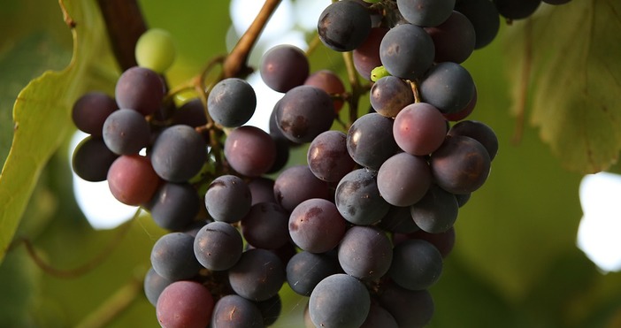 Между 10 и 30 се очаква да се повиши