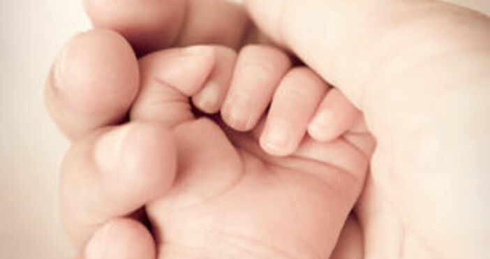 12 бебета заченати инвитро са родени за два месеца –