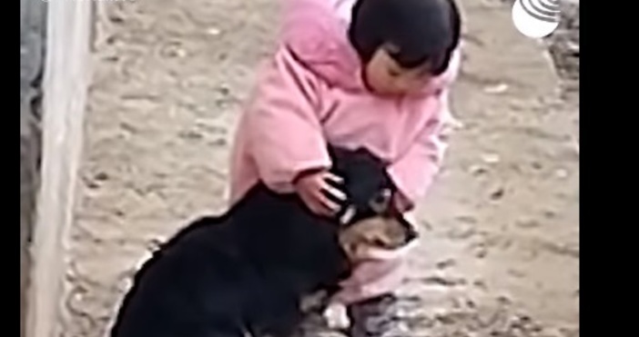 В Китай малко момиченце затвори ушите на куче за да