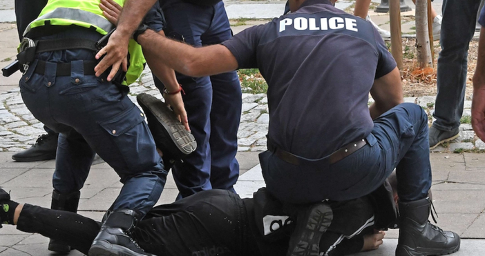 Петел следи какво се случва след престъплението което бе извършено