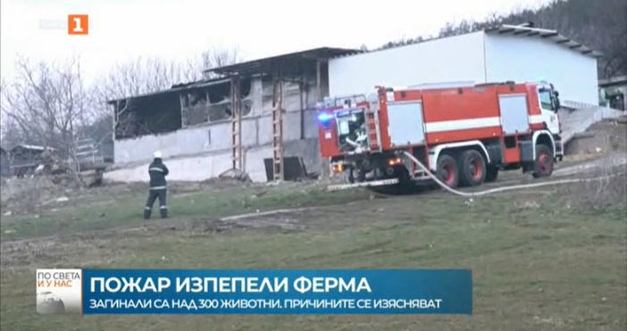Изгоря ферма със стотици животни край Велико Търново. Пожарът е избухал