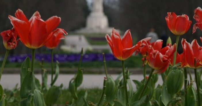 В петък ще бъде предимно слънчево Над Източна България от