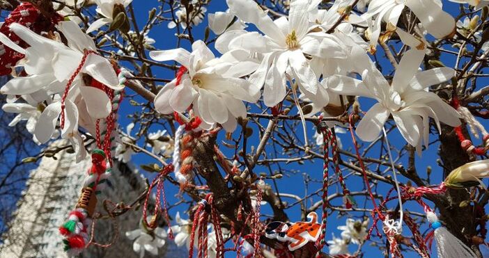 Според обичая мартеницата се носи на видно място и се