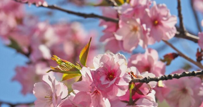 До дни се очакват първите пролетни буриВ неделя времето ще